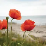 Seerose 8 Holiday home